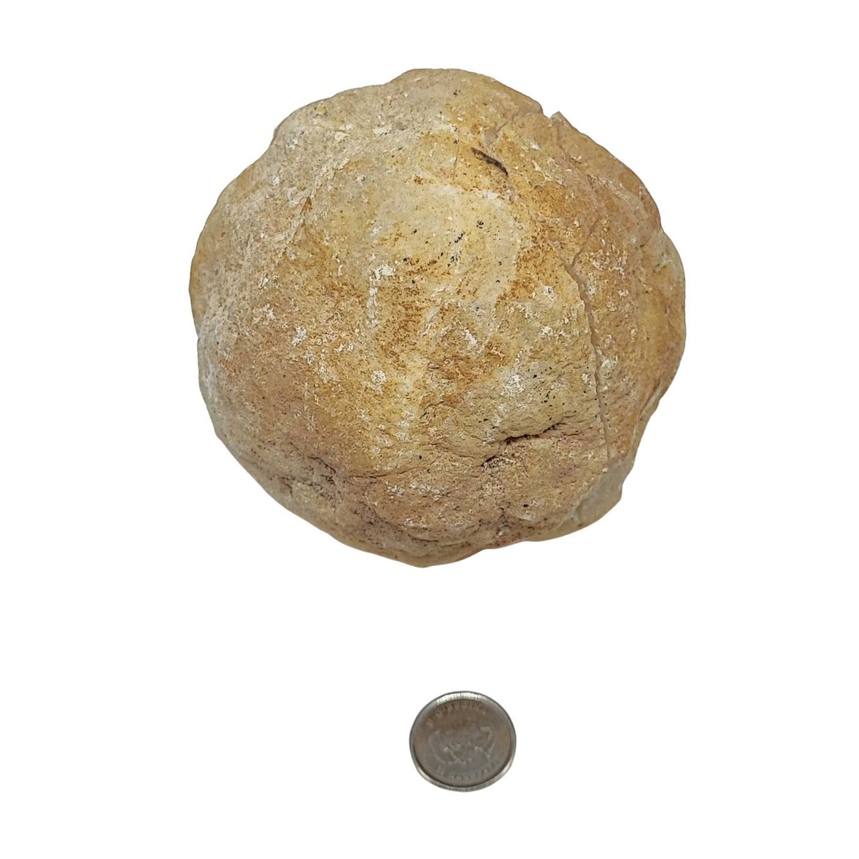 Geode -Calcite -Morroco -Medium