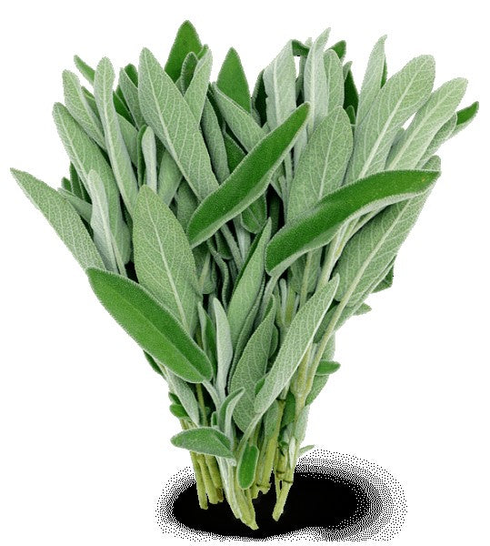 Incense - Backflow Cones - White Sage - 8 Cones