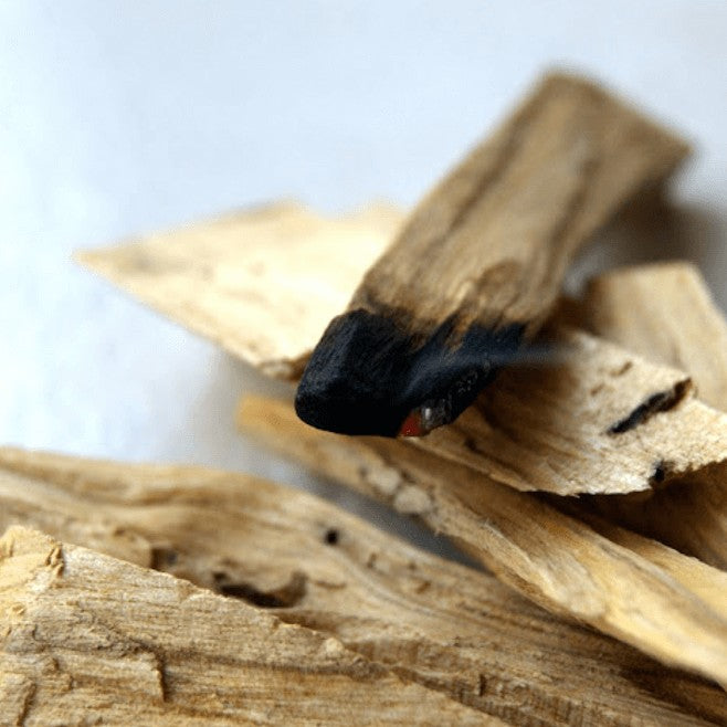 Incense - Backflow Cones - Palo Santo - 8 Cones