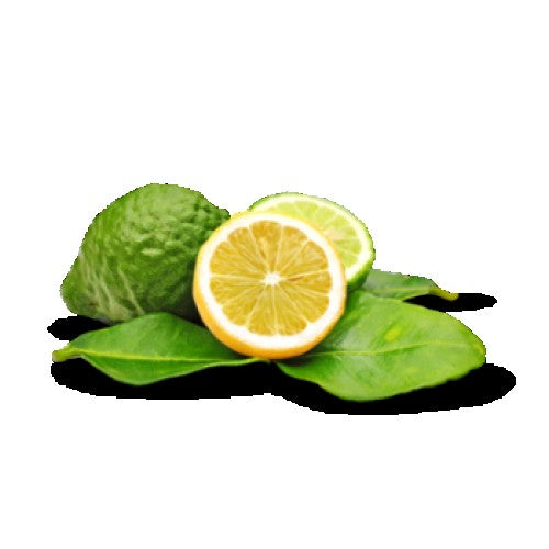 Incense Sticks - Bergamot - Pack of 10