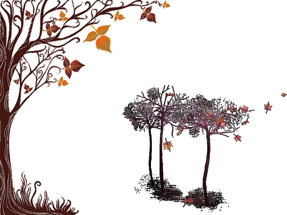 Incense Sticks - Pagan Magic - Pack of 10