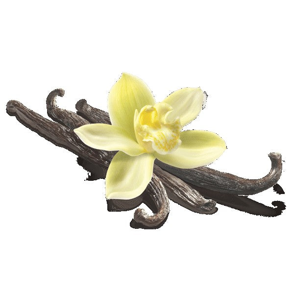 Incense Cones - Sweet Vanilla - 10 Cones