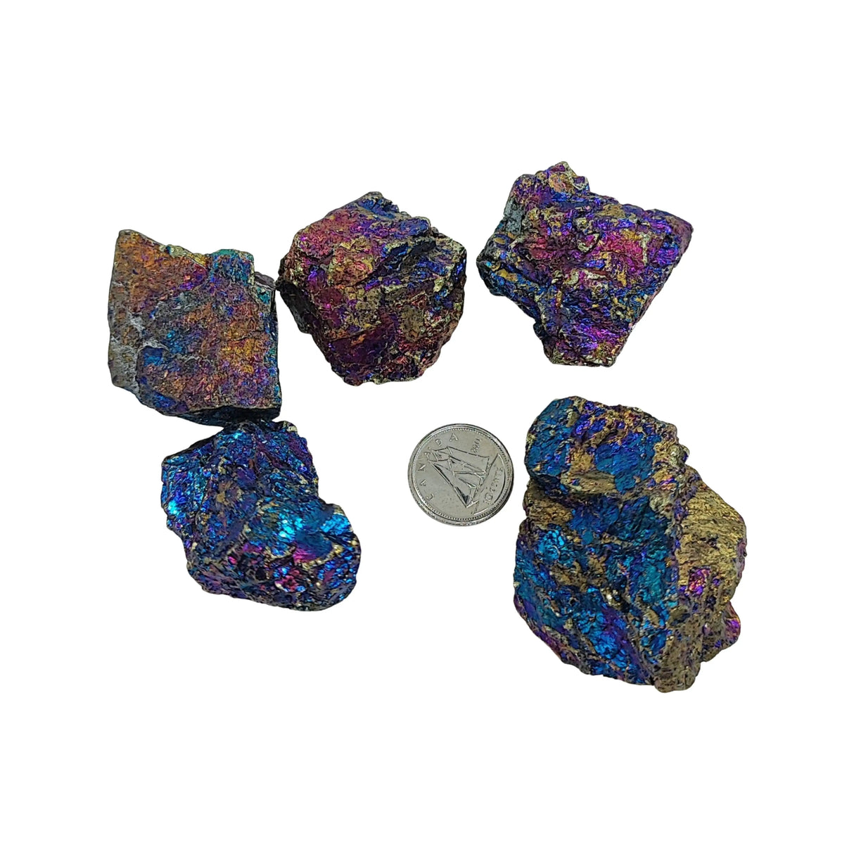 Stone -Chalcopyrite Peacock Ore -Rough -Large