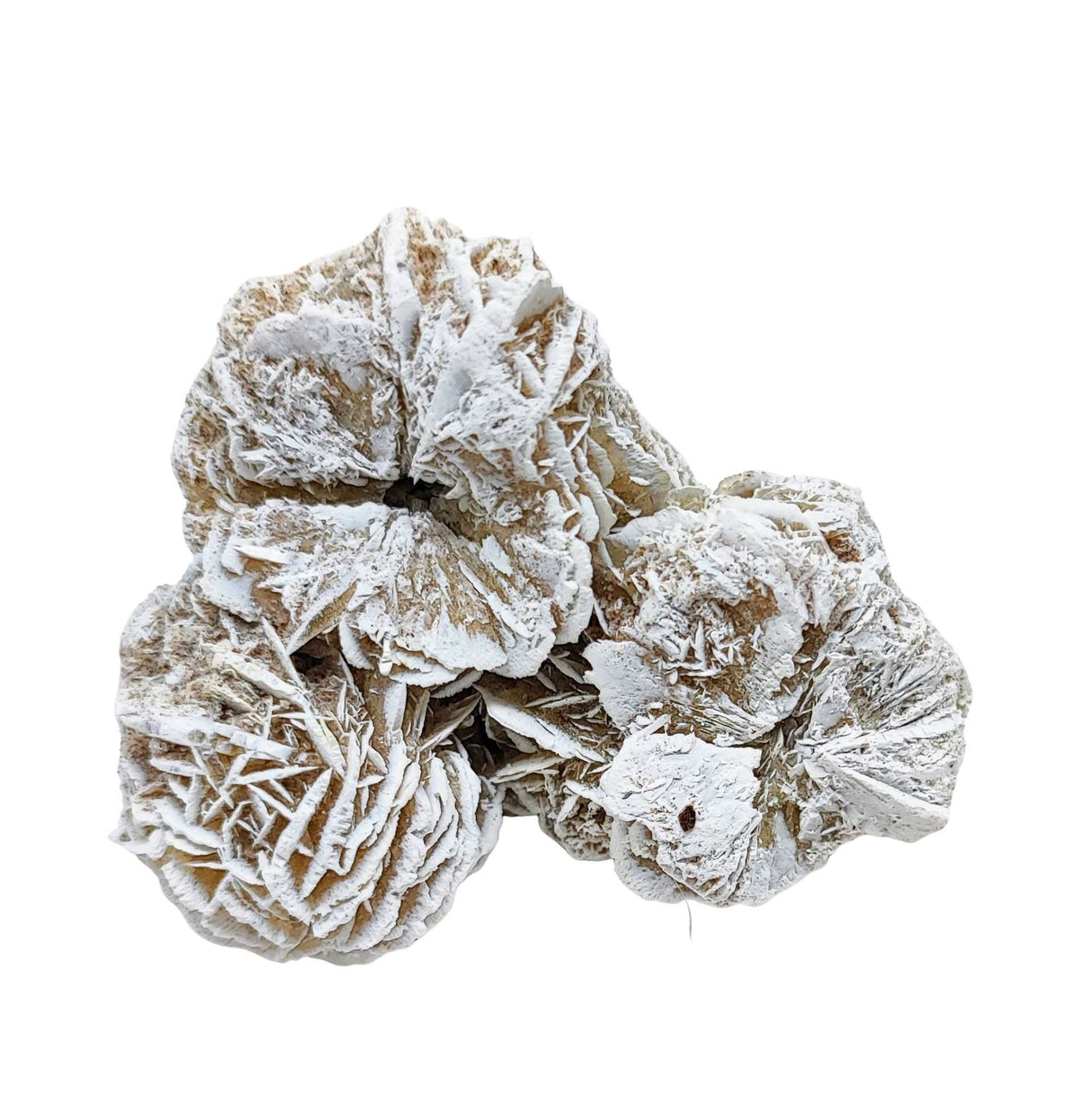 Stone -Desert Rose -Rough -Specimen -133g