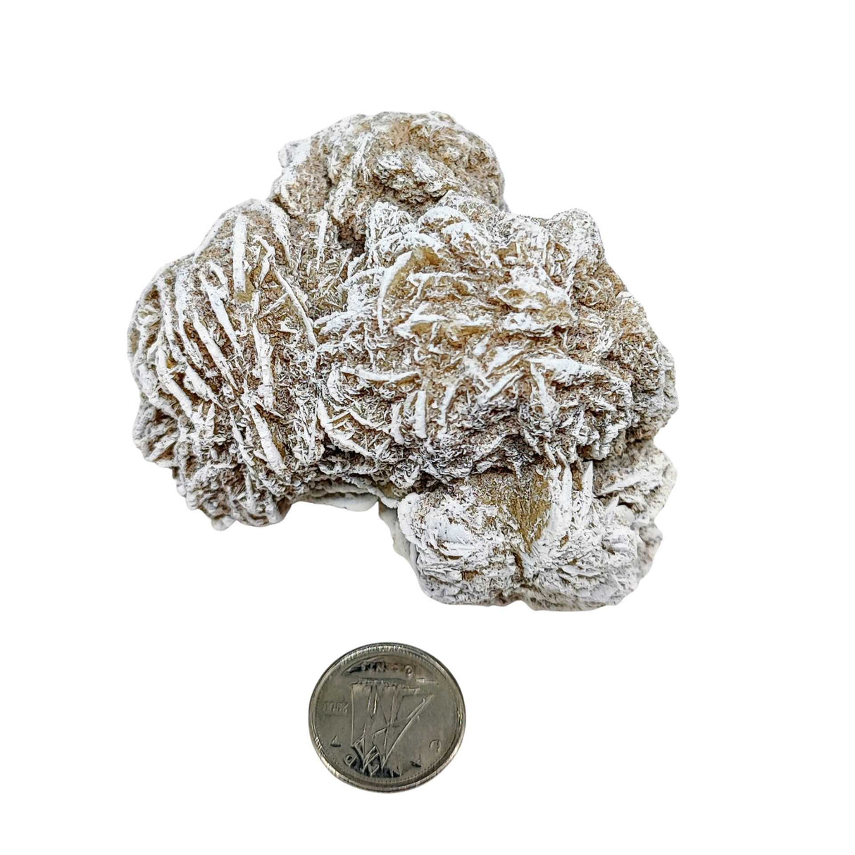 Stone -Desert Rose -Rough -Specimen -133g