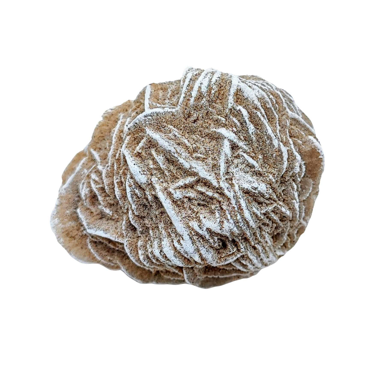 Stone -Desert Rose -Rough -Specimen -150g