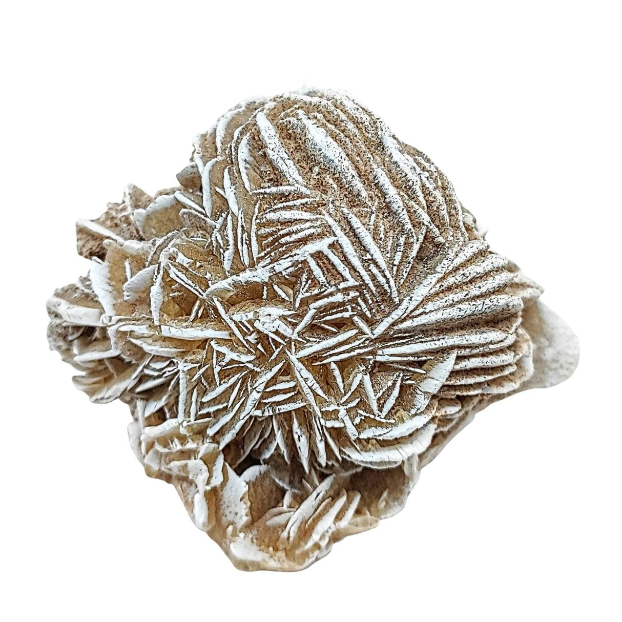 Stone -Desert Rose -Rough -Specimen -161g