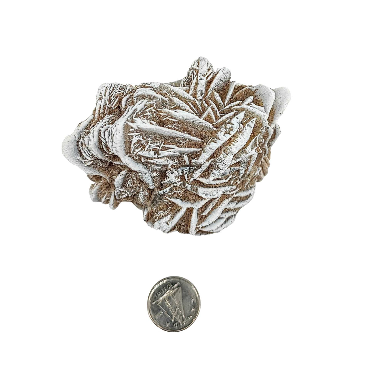 Stone -Desert Rose -Rough -Specimen -161g