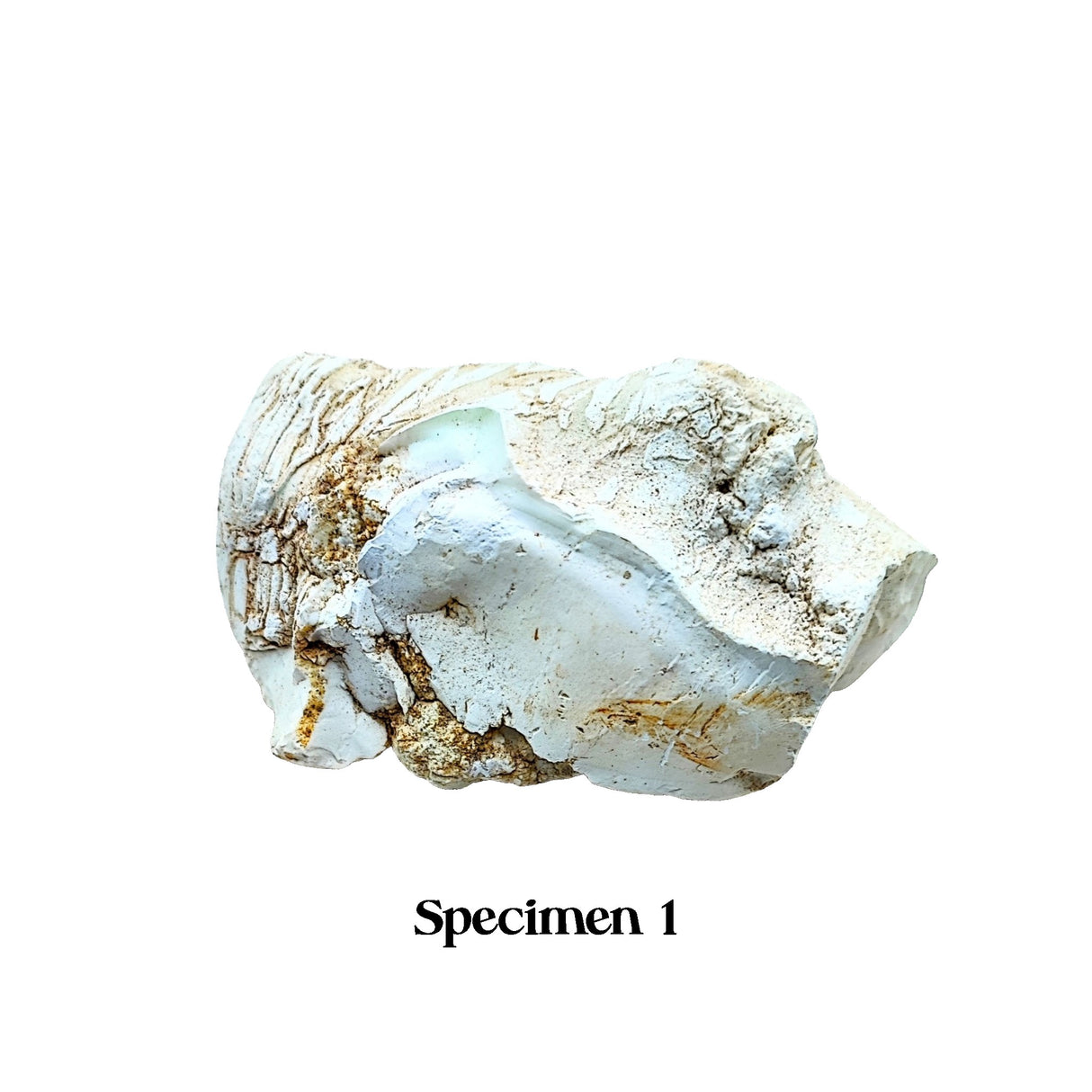 Stone -Jade -White -Rough -4" to 9"