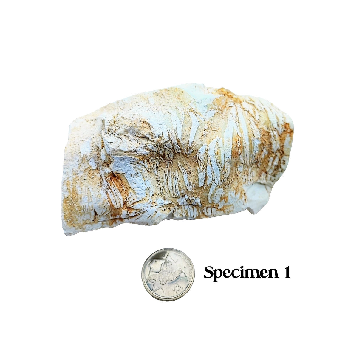 Stone -Jade -White -Rough -4" to 9" Specimen 1: 368g