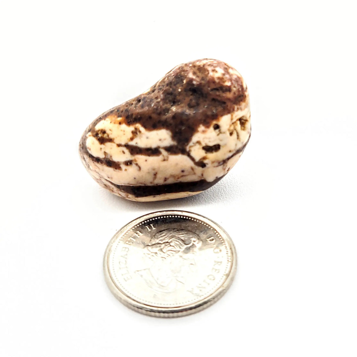 Stone -Jasper -Zebra -Tumbled