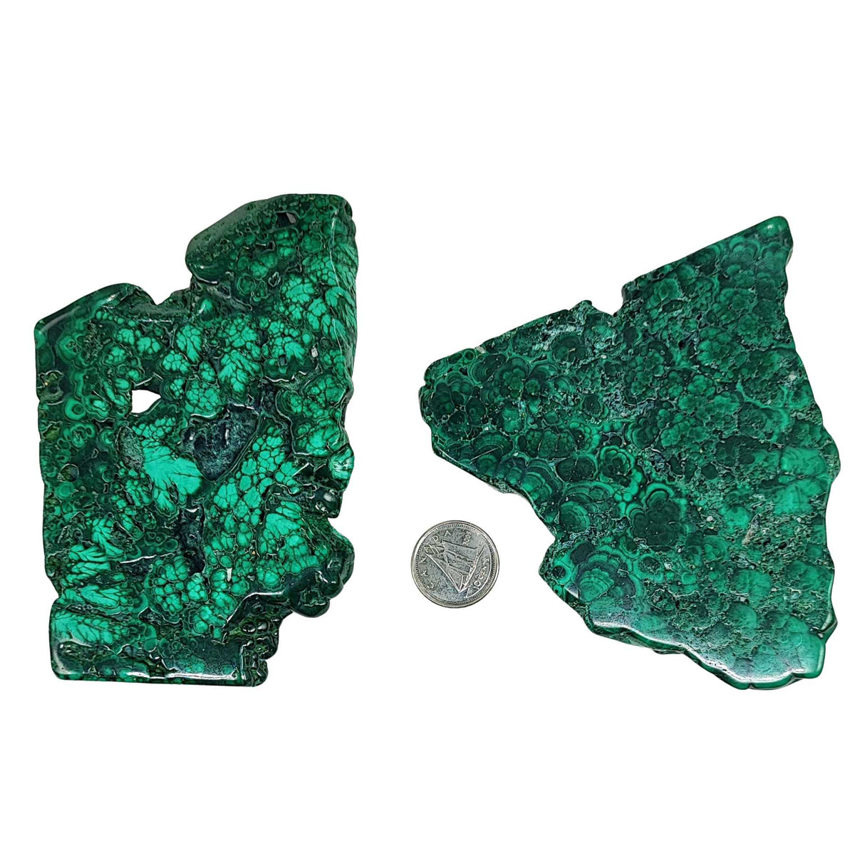 Stone -Malachite Slices -Tumbled -101g to 125g