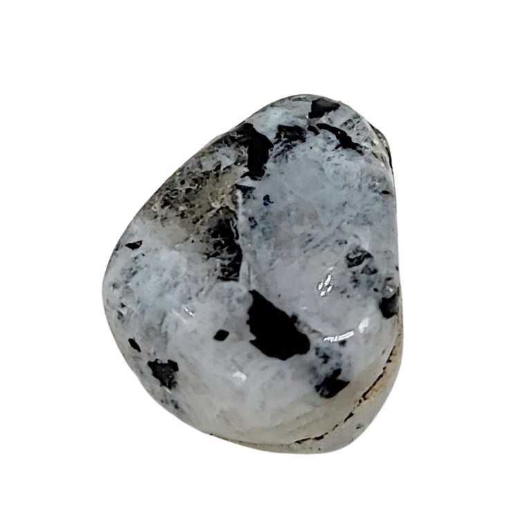 Stone -Rainbow Moonstone -Tumbled