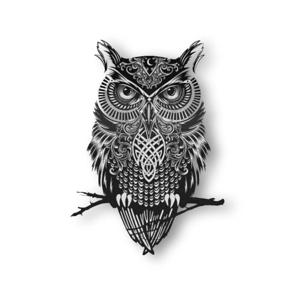 Owl -Aromes Evasions