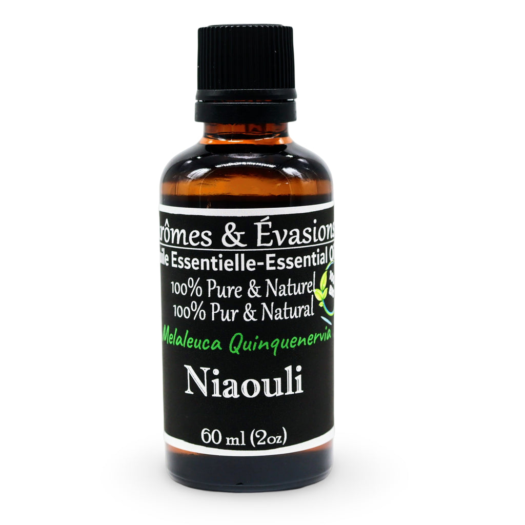 Essential Oil - Niaouli (Melaleuca Quinquenervia) 60 ml