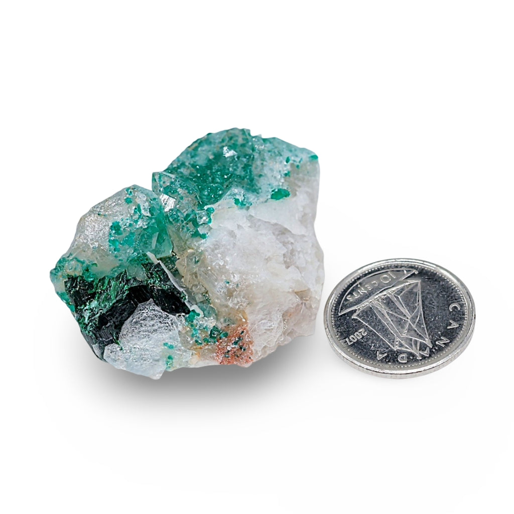 Stone - Specimen - Dioptase Specimen on Matrix - 1 1/2"