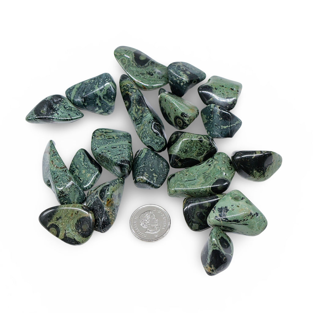 Stone - Kambaba Jasper - Tumbled