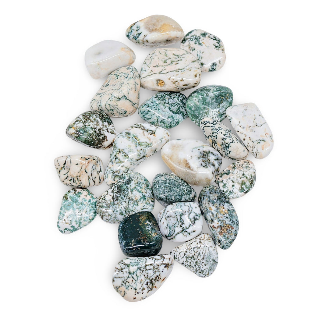 Stone - Green Tree Agate - Tumbled