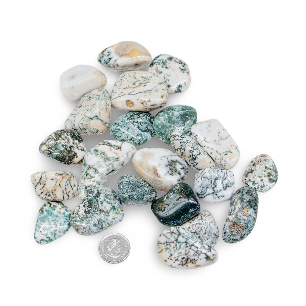 Stone - Green Tree Agate - Tumbled