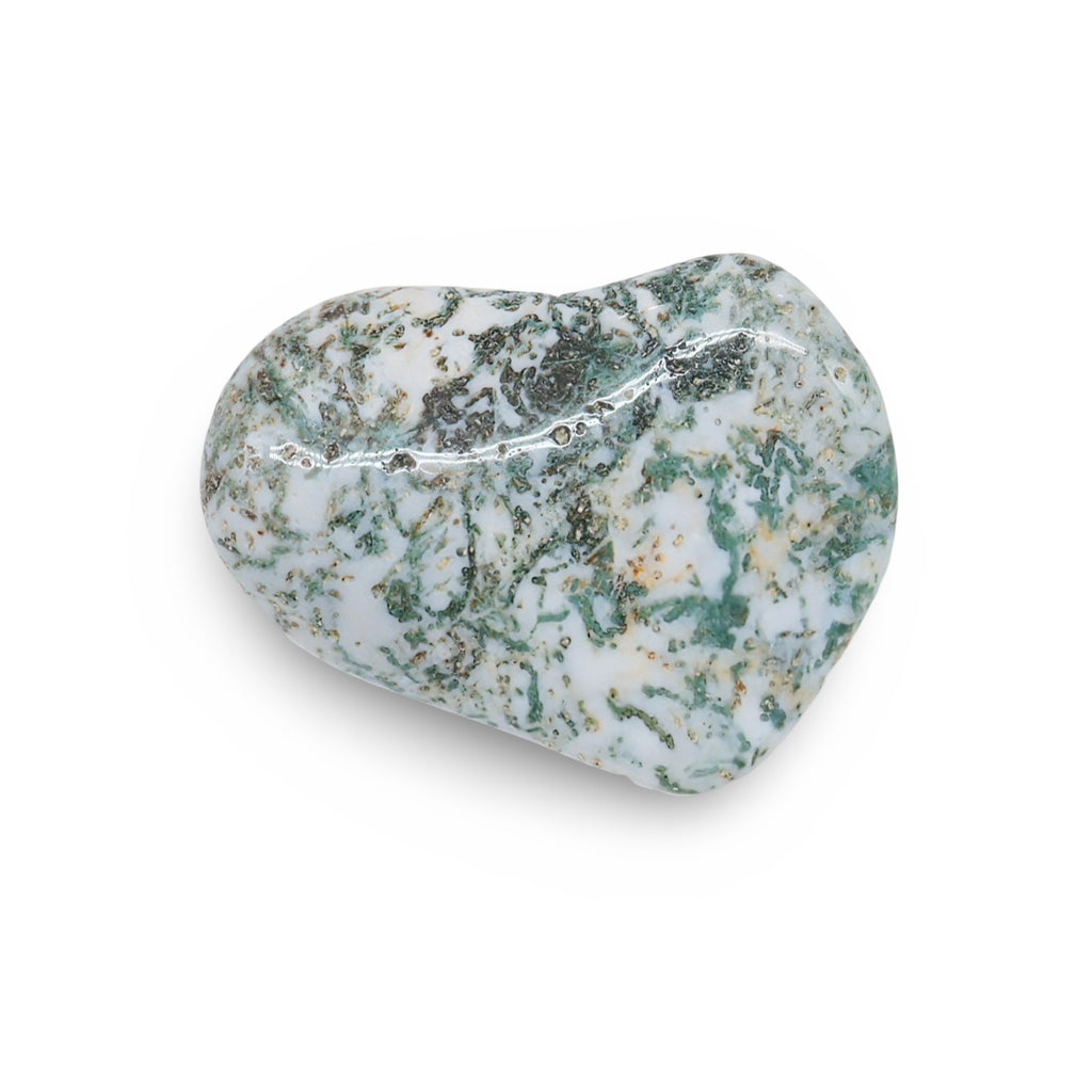 Stone - Green Tree Agate - Tumbled