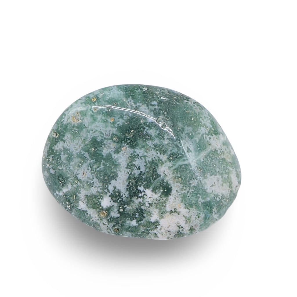 Stone - Green Tree Agate - Tumbled