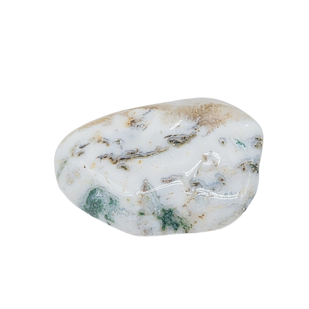 Stone - Green Tree Agate - Tumbled