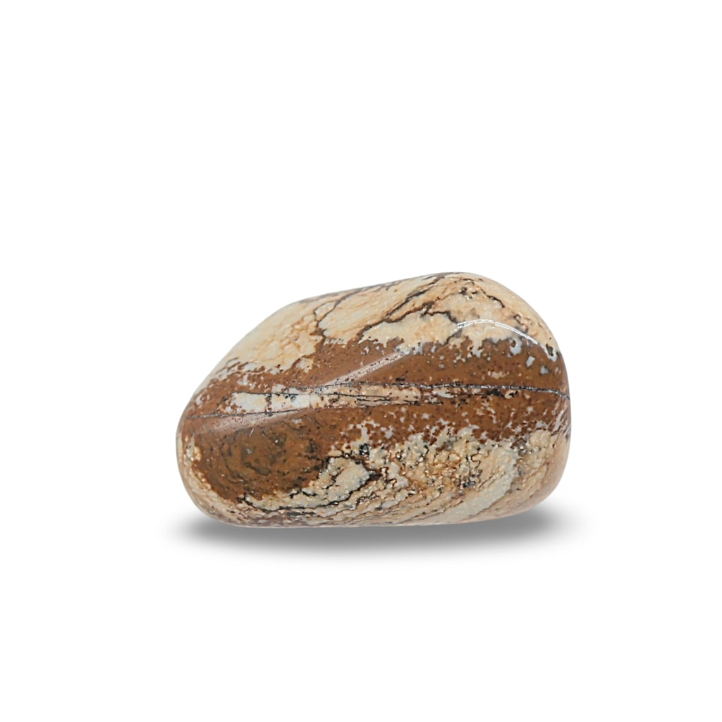 Stone - Picture Jasper - Tumbled