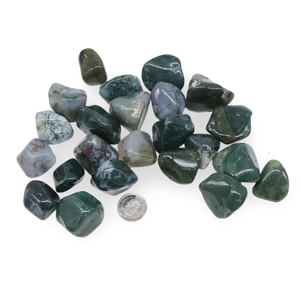 Stone - Moss Agate - Tumbled