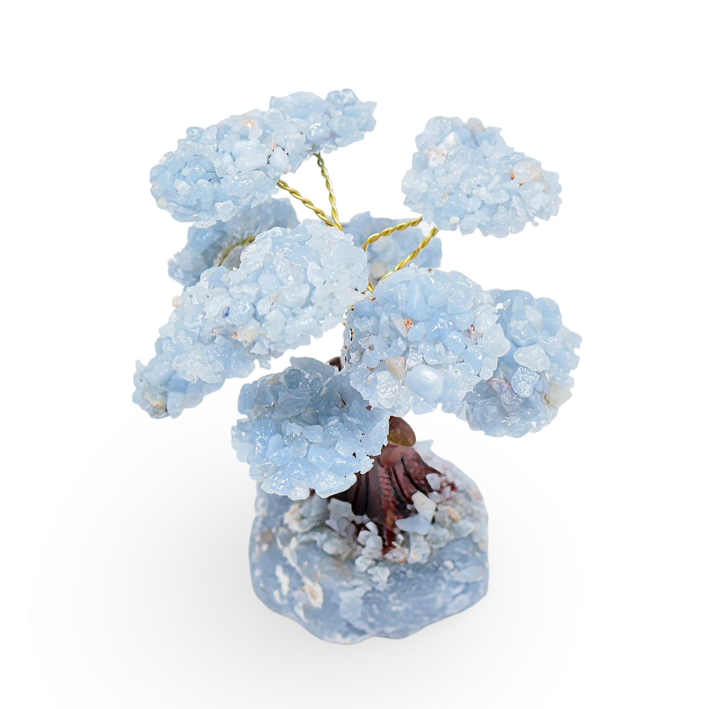 Home Decor - Gem Tree - Angelite - 4.75"H