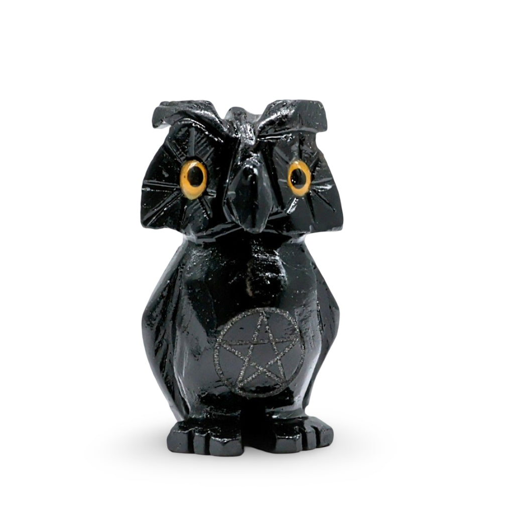 Spirit Animal - Carved Stone - Black Onyx - Owl with Pentacle