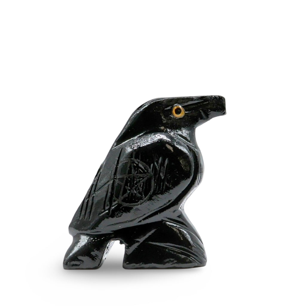 Spirit Animal - Carved Stone - Black Onyx - Raven with Pentacle