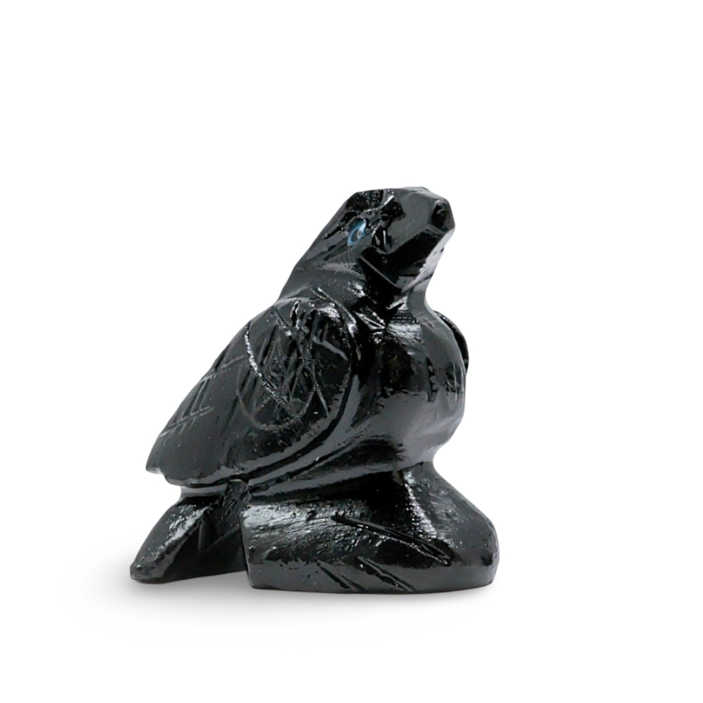 Spirit Animal - Carved Stone - Black Onyx - Raven with Pentacle