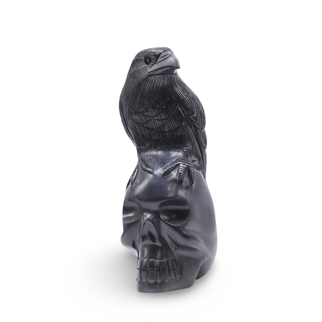 Stone - Raven on Skull Carved in Black Onyx