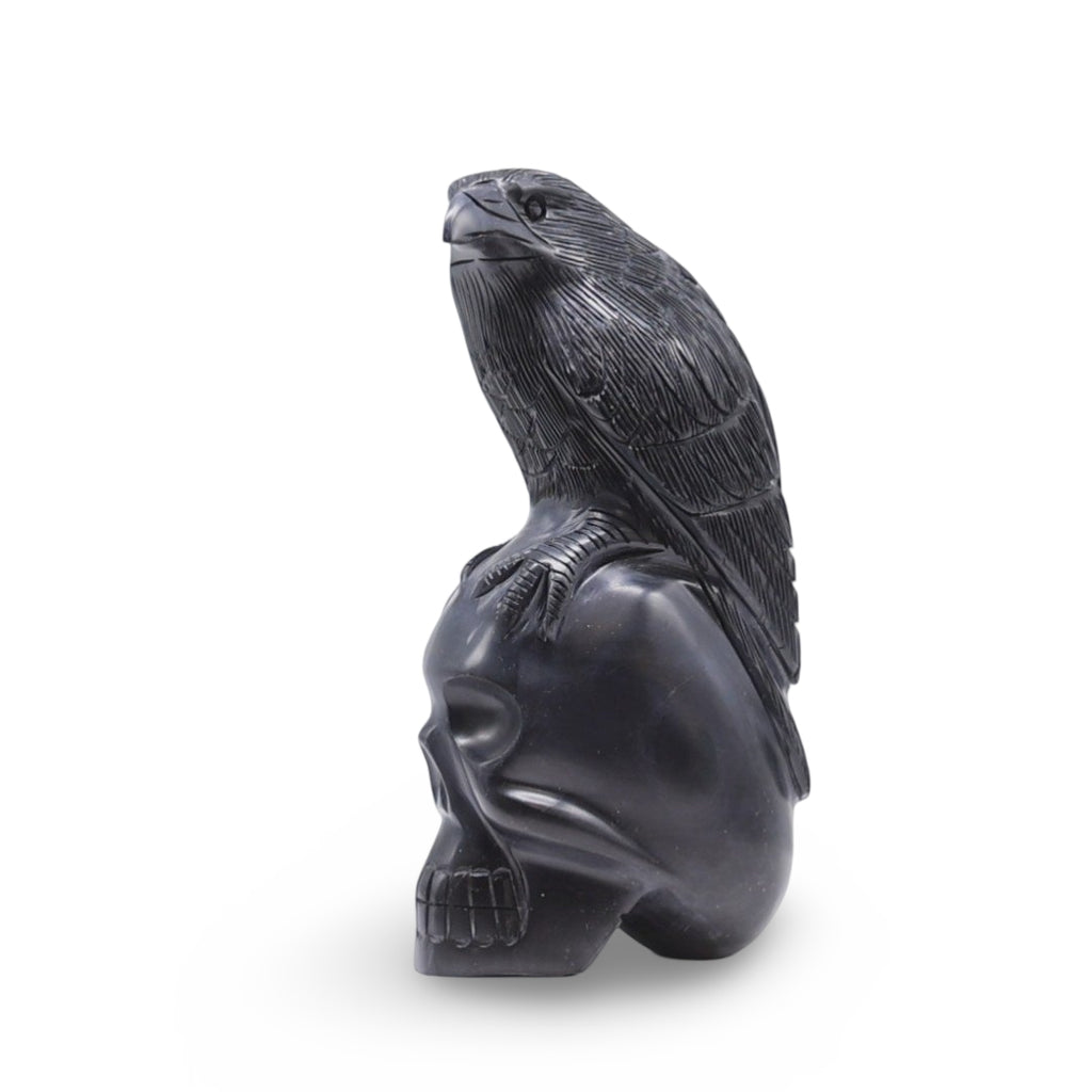 Stone - Raven on Skull Carved in Black Onyx