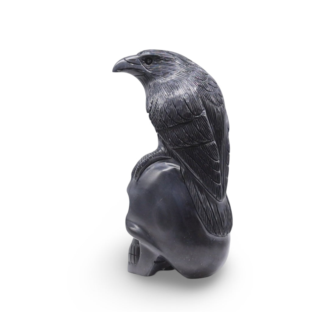 Stone - Raven on Skull Carved in Black Onyx