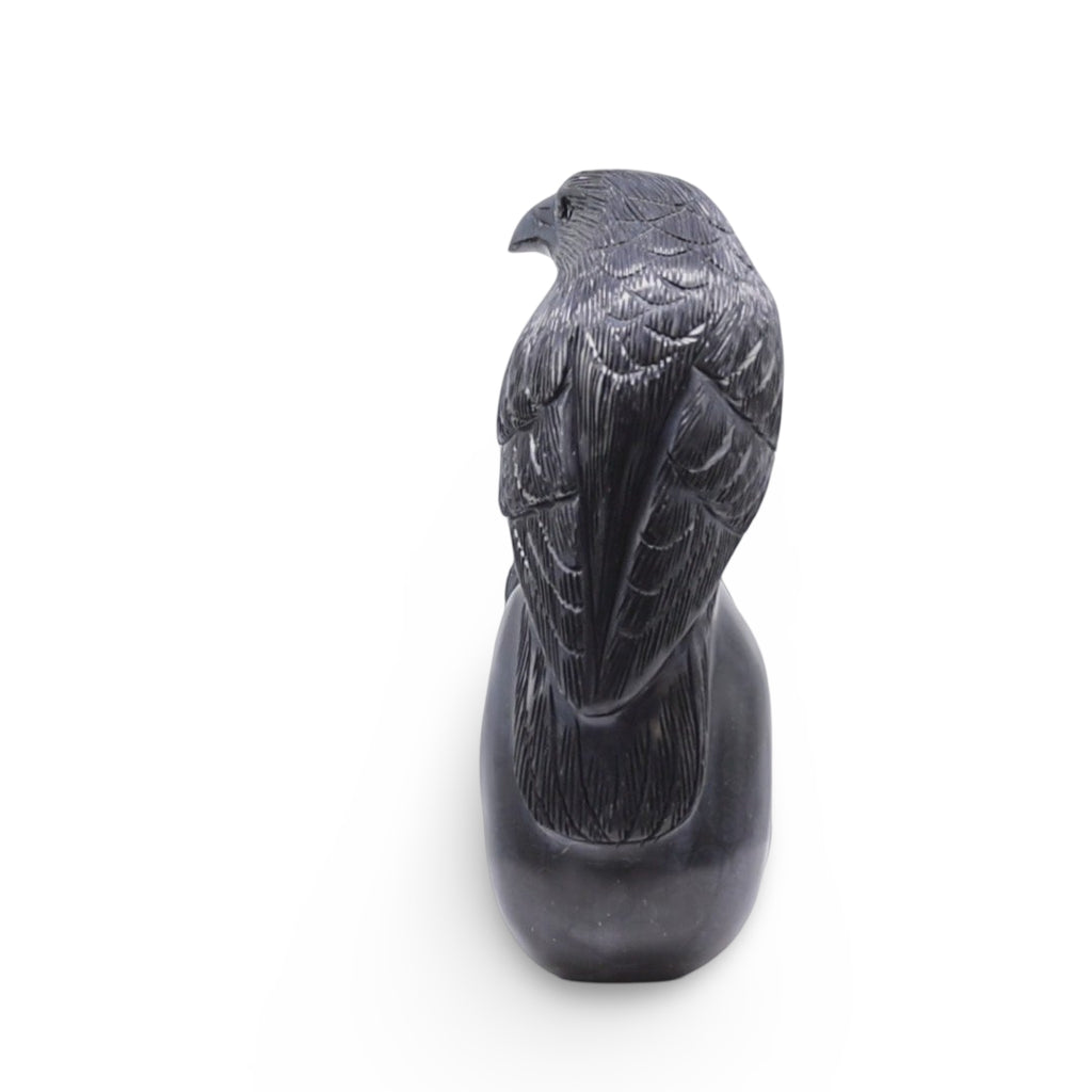 Stone - Raven on Skull Carved in Black Onyx