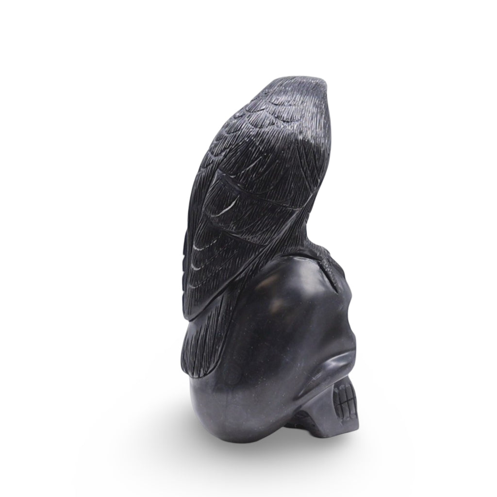 Stone - Raven on Skull Carved in Black Onyx