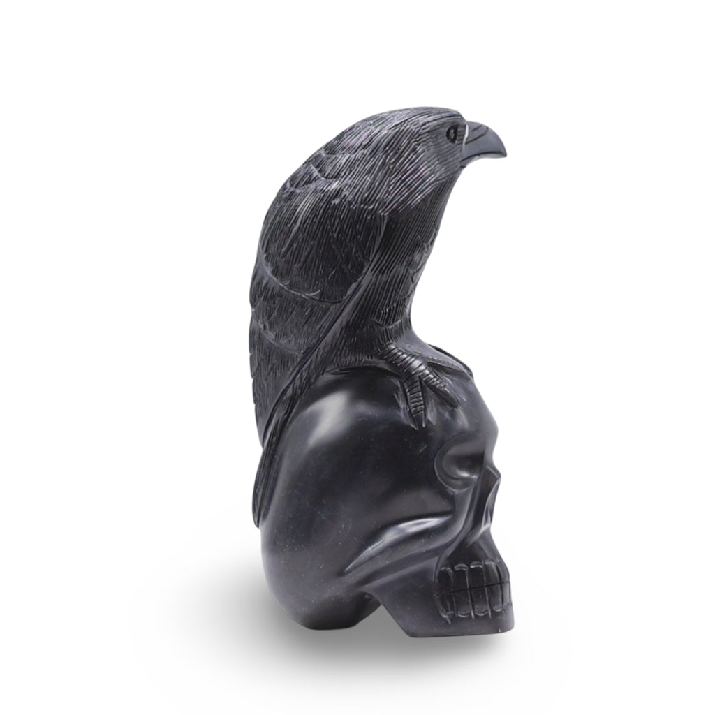 Stone - Raven on Skull Carved in Black Onyx