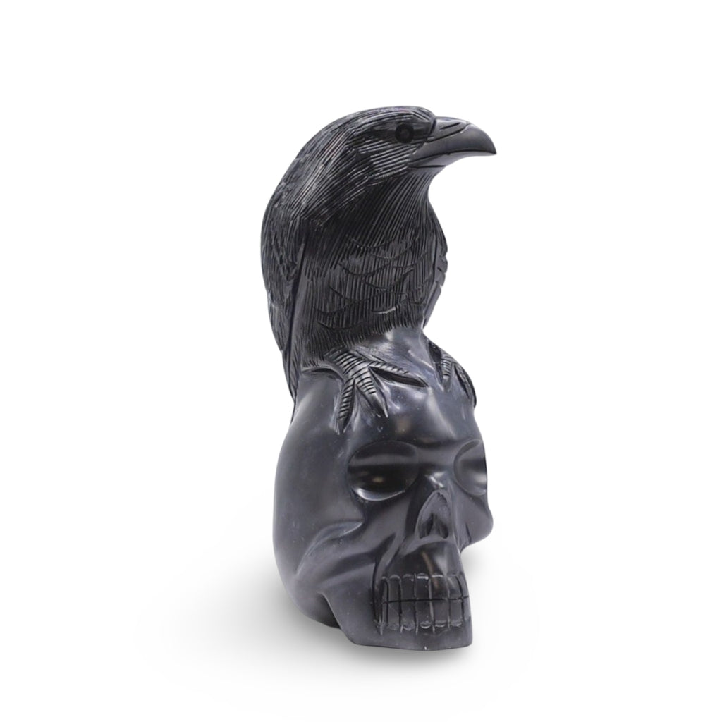 Stone - Raven on Skull Carved in Black Onyx