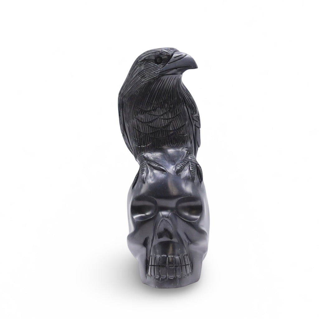 Stone - Raven on Skull Carved in Black Onyx