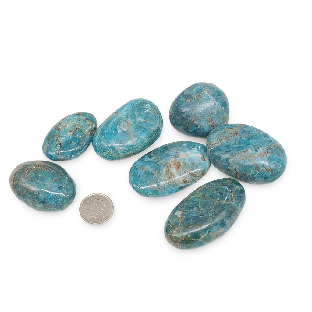 Stone - Apatite - Tumble Pebble