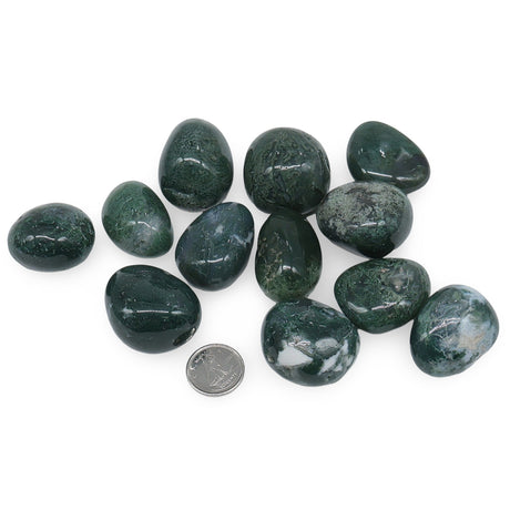 Stone - Brazilian Moss Agate - Tumbled
