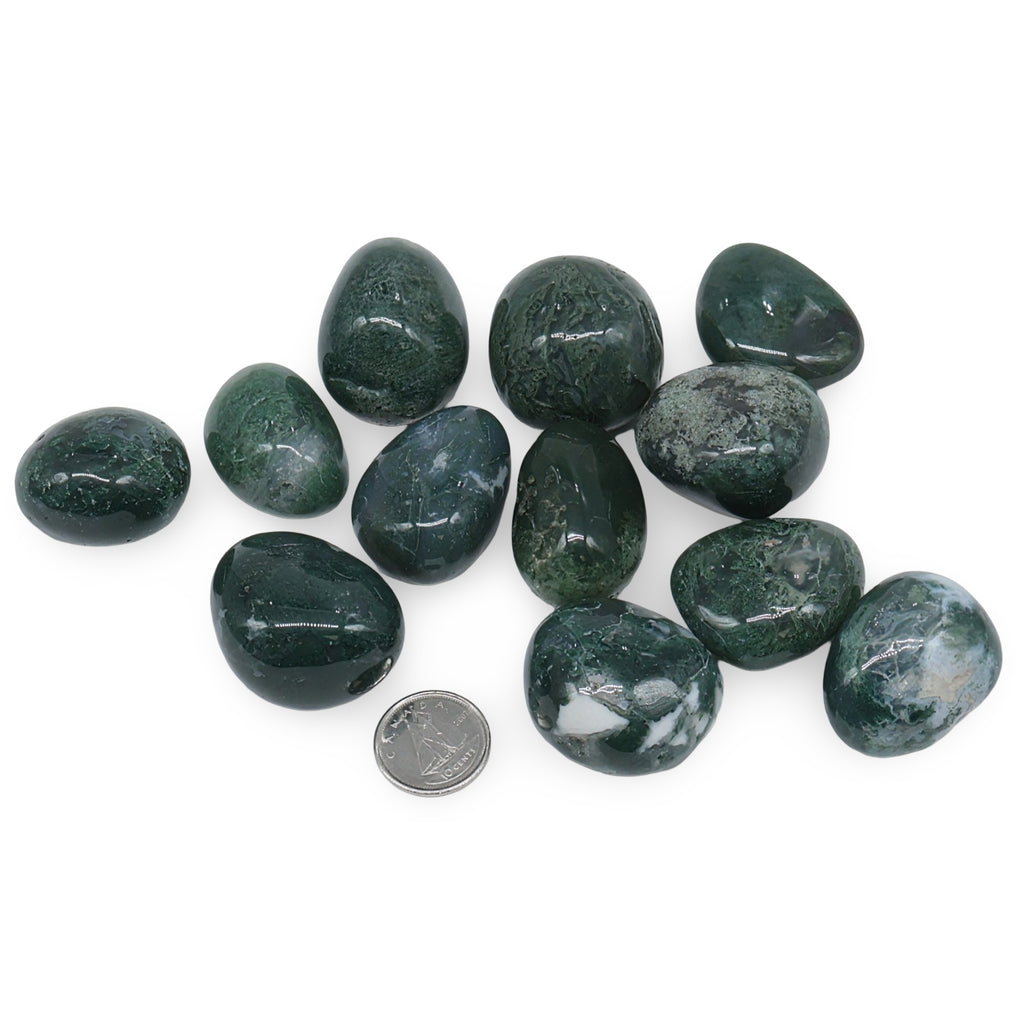 Stone - Brazilian Moss Agate - Tumbled - Arômes et Évasions