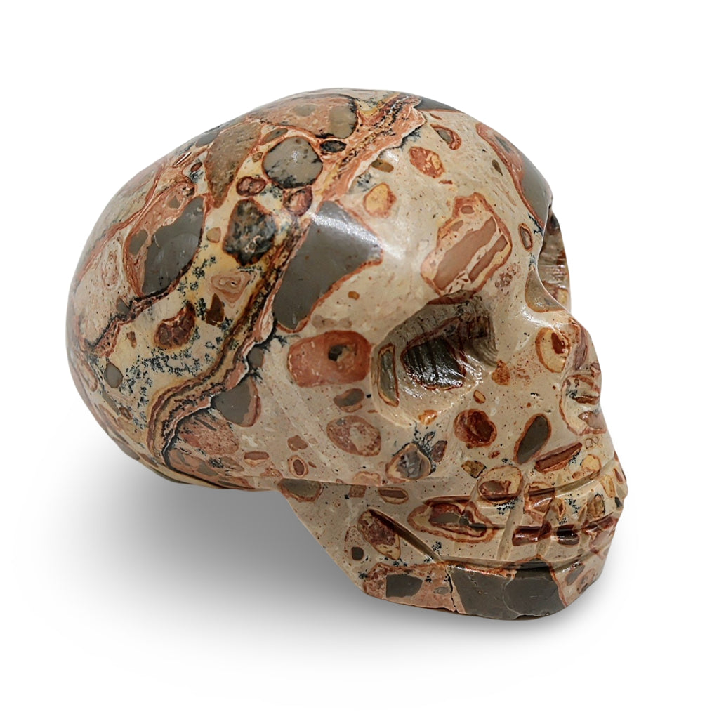 Stone - Leopard Jasper Skull Specimen - Polished