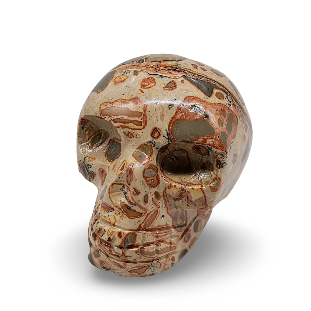 Stone - Leopard Jasper Skull Specimen - Polished