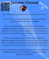 Descriptive Cards - Birthstone - January Garnet