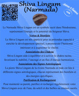 Descriptive Cards -Precious Stones & Crystals -Shiva Lingam (Narmada)