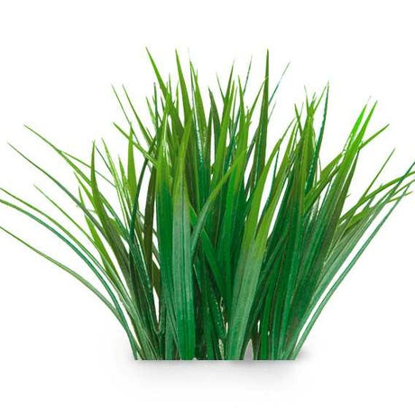 Essential Oil - Vetiver (Vetiveria Zizanoides) 500 ml