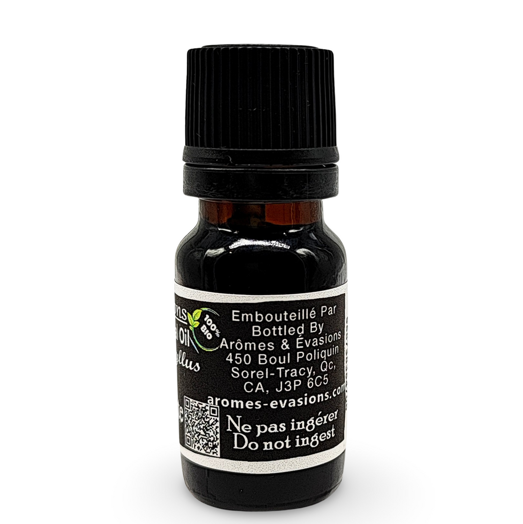 Essential Oil -Carnation Absolute (Dianthus Caryophyllus)