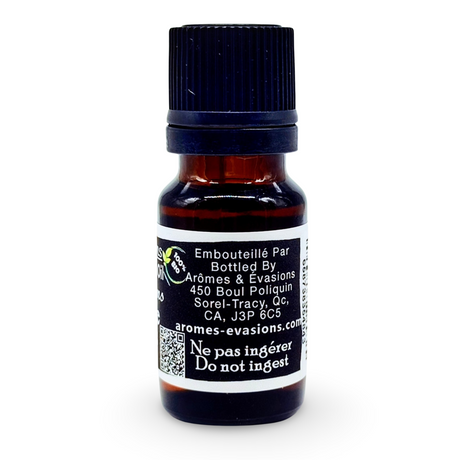 Essential Oil - Celery Seeds (Apium Graveolens)